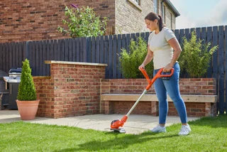 Flymo Hedge & Grass Trimmers products